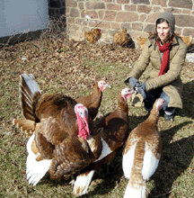 Jen-08-turkeys-2.gif