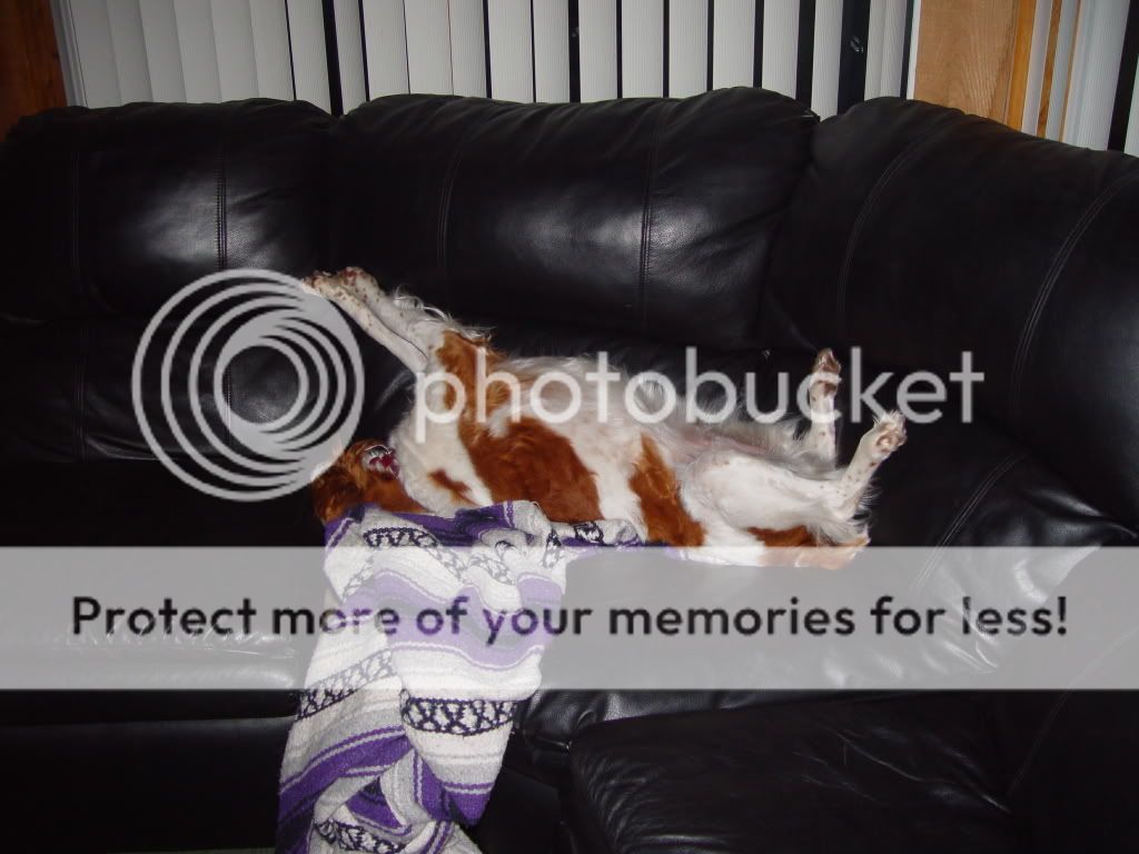 DSC03598.jpg