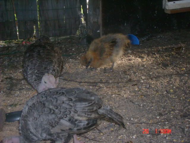 DSC01500.jpg