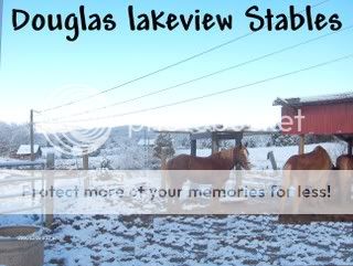 Postcard.jpg