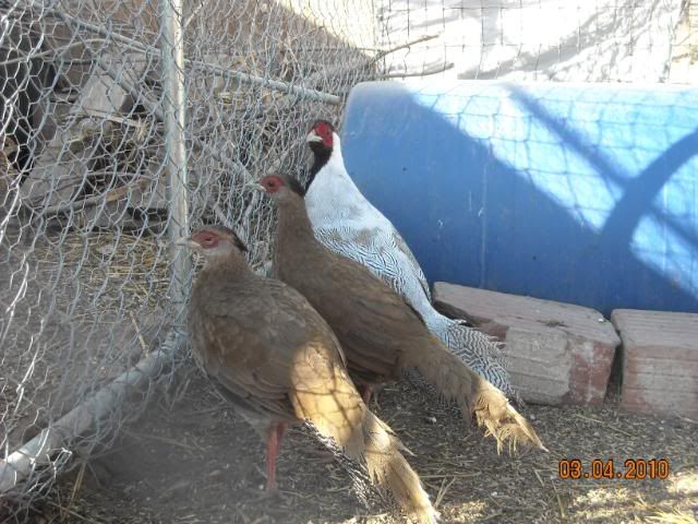 DSCN0295.jpg