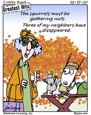 maxine-nuts.JPG