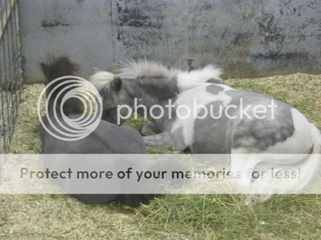 IMG_3663.jpg