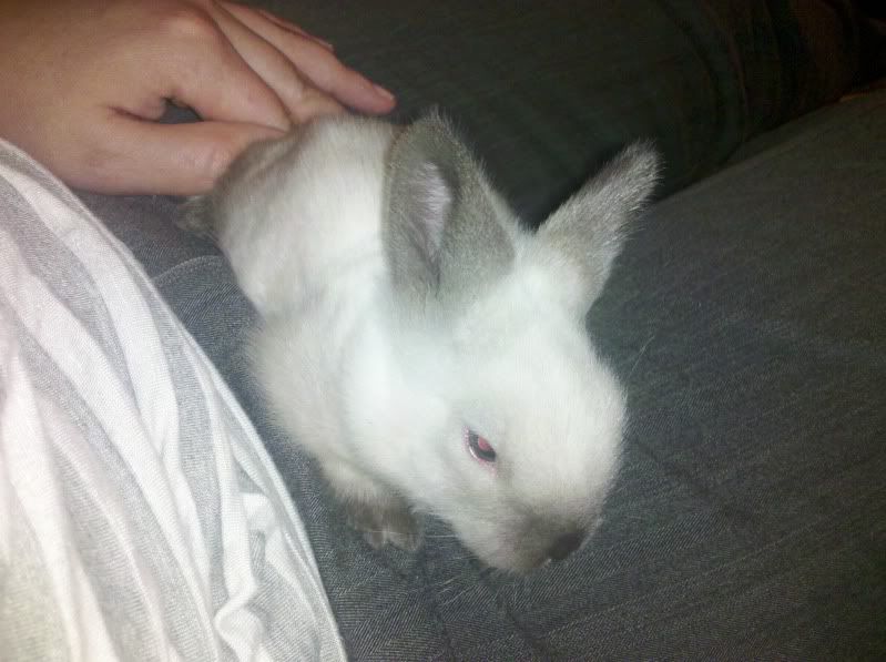 2011-07-21_20-21-21_697.jpg
