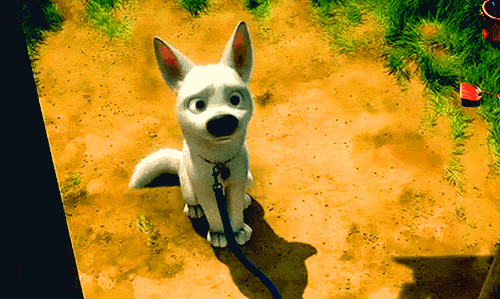 tumblr_mcvthztEC31rncdgao1_500.gif