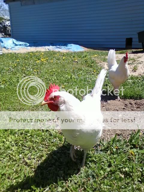 img1243388456144.jpg