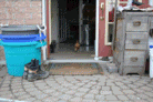 lcrtracing2005gf2c.gif