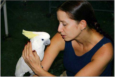 k&cockatoo.jpg