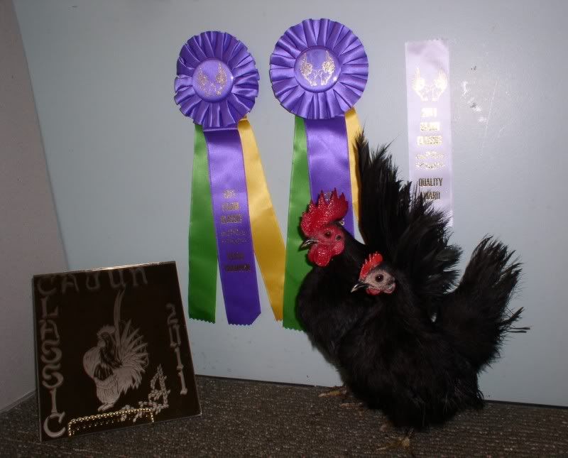 Champion2011038.jpg