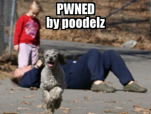 523821026_ba4f6f8833.jpg