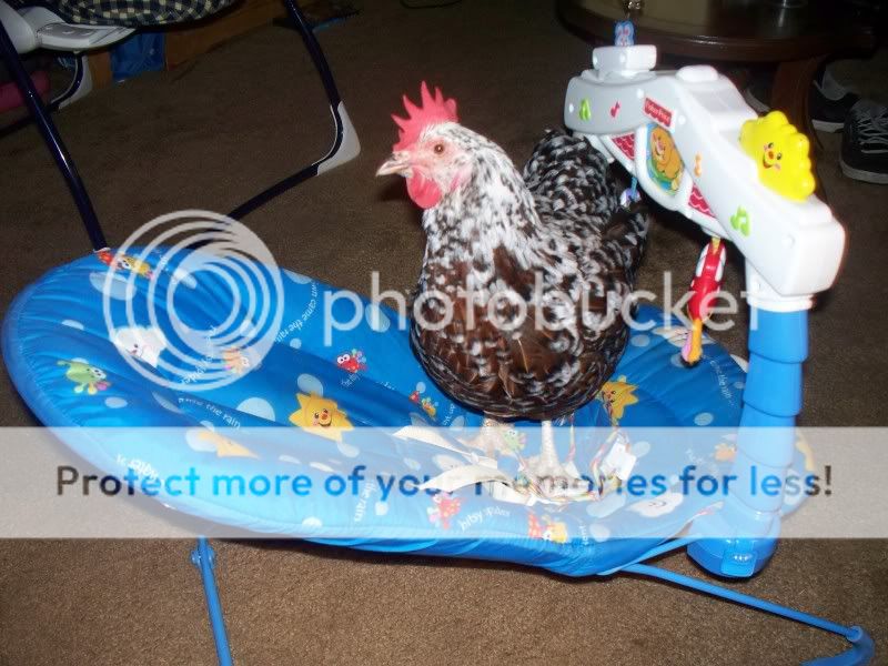 100_1392.jpg
