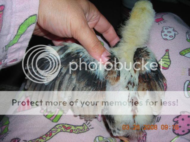 DSCN2425.jpg