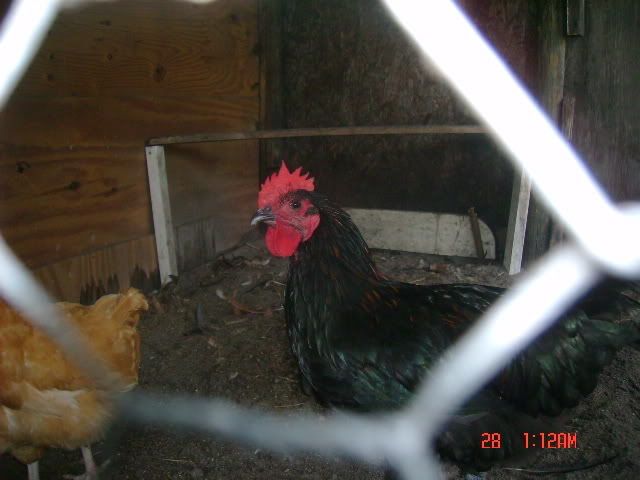 DSC01509-1.jpg