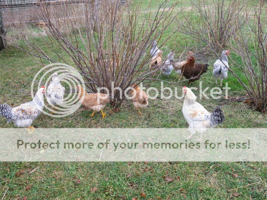 IMG_8506.jpg