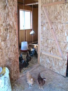 Insidedoortocoop2.jpg
