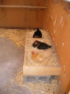 IMG_1890.jpg
