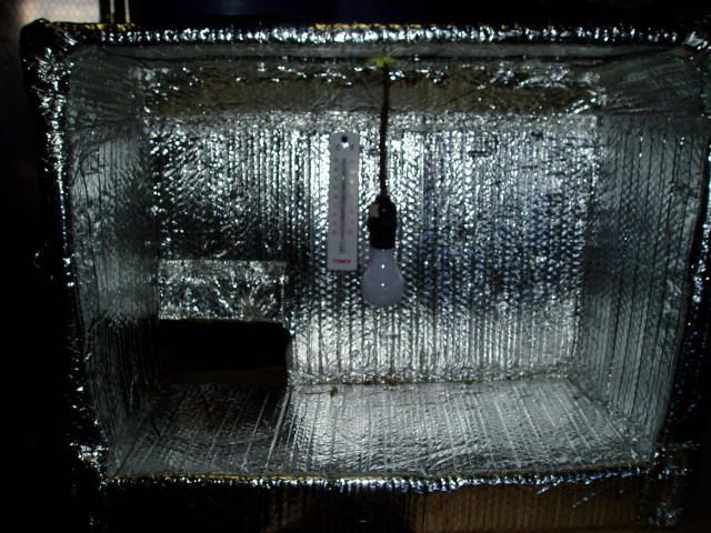 P1010016-2.jpg