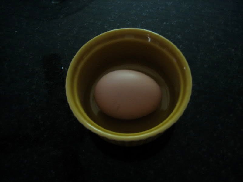 FIRSTEGG.jpg