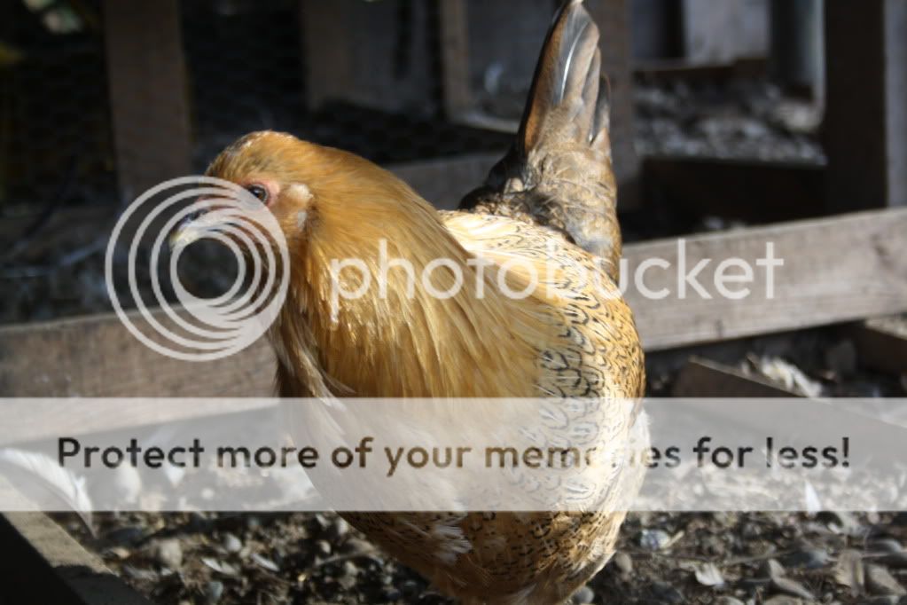 october2011210.jpg