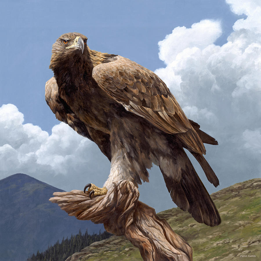1-alpine-hunter-peter-eades.jpg