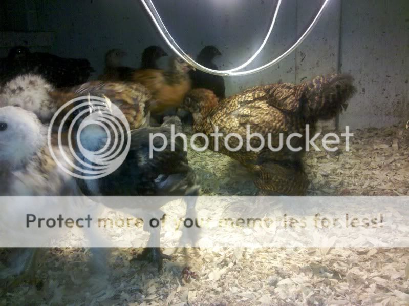2011-05-30_22-06-24_465.jpg