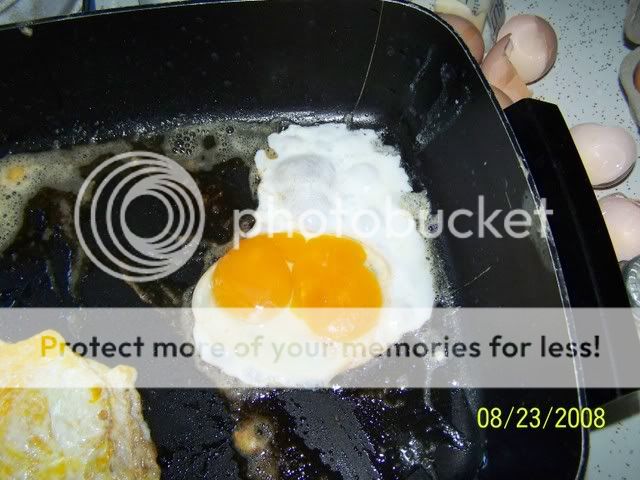 100_1546.jpg