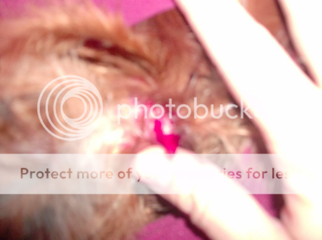 HPIM0806.jpg