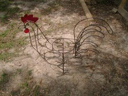 rooster3.jpg