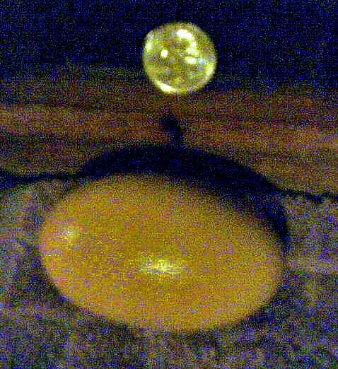 doubleyolk2new.jpg