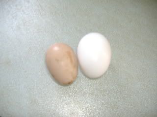 DSCF1874.jpg