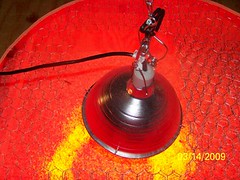 3743647466_648ccf63b5_m.jpg