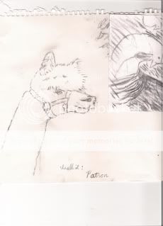 scan0003.jpg