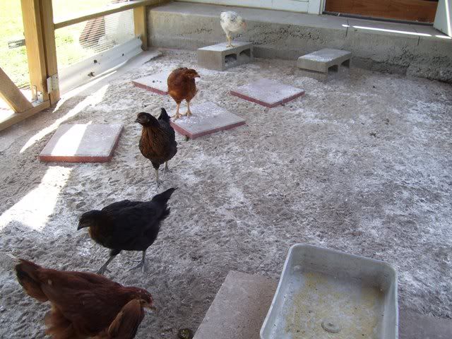 20090425024.jpg