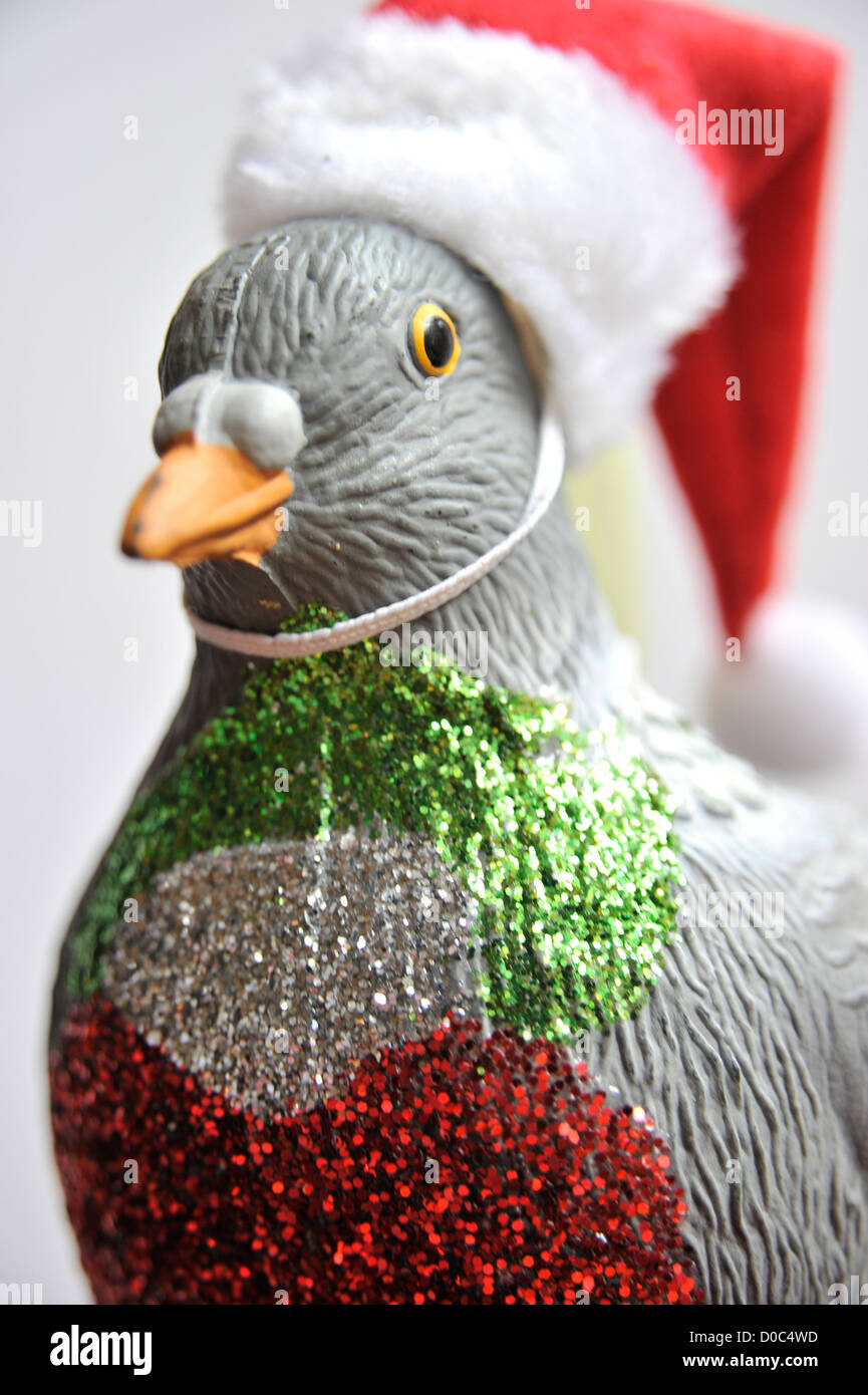 christmas-glitter-pigeon-in-a-santa-hat-D0C4WD.jpg