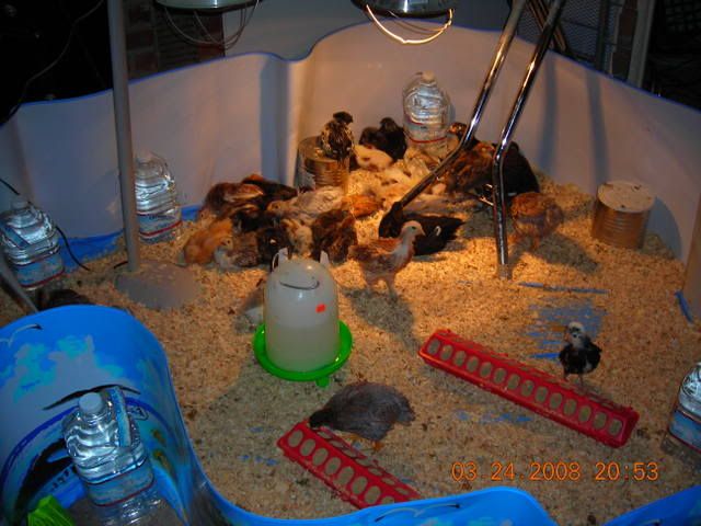 DSCN2374.jpg