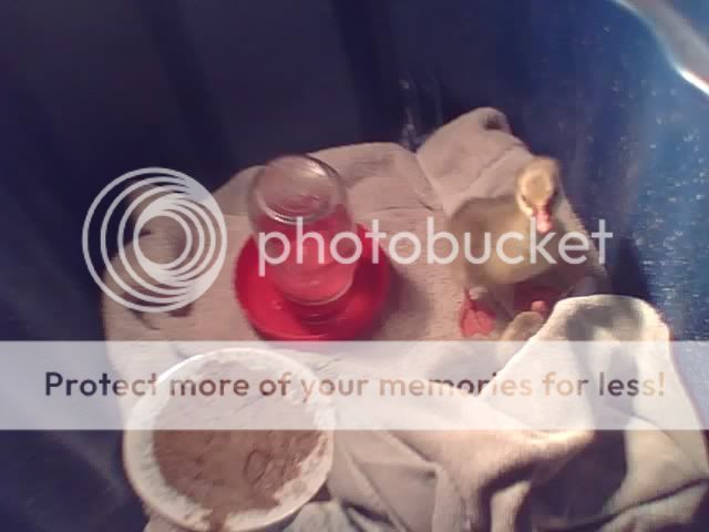 04-25-11_08211.jpg