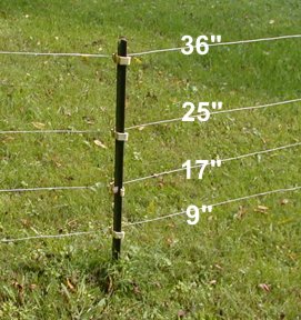 fence-4.jpg