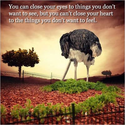 cute-life-quotes-see-feel.jpg