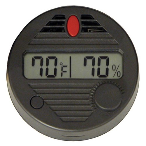 51ChTSp-gNL.jpg