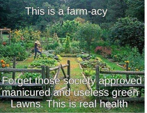 30x30px-ZC-57b529d1_grow-food-not-lawns.jpeg