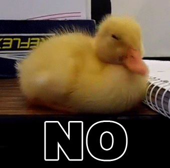 96Jc0Ac.gif