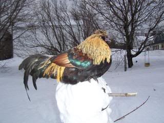 100_3224.jpg