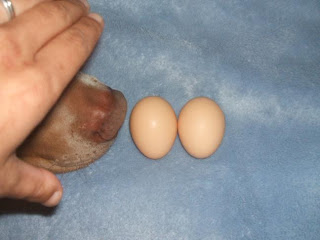 DSCF4234.JPG