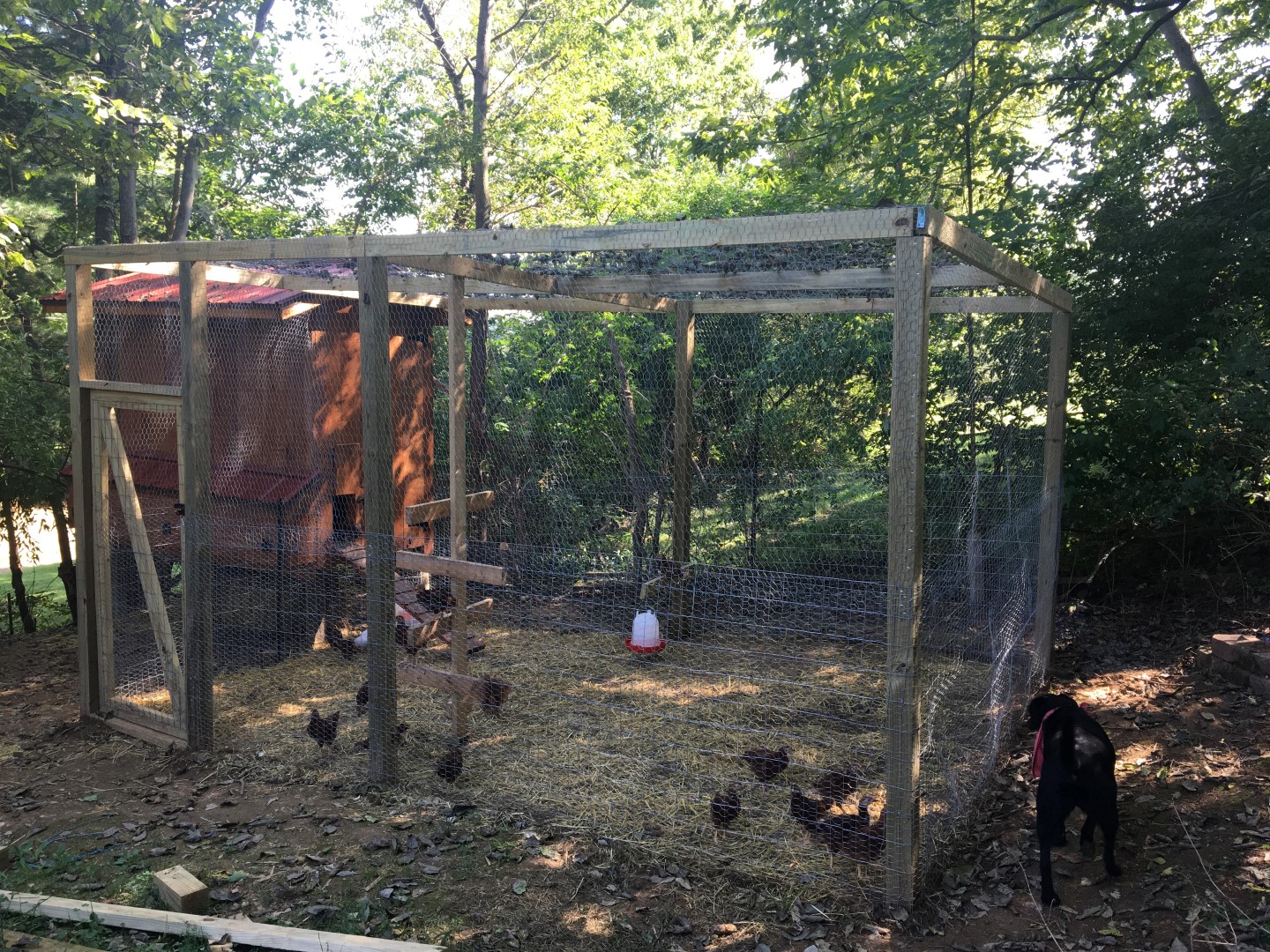 chicken-coop_35-large.jpg