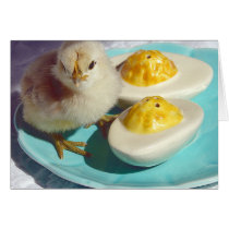 deviled_eggs_and_the_chick_card-p137391104825256592tdn0_210.jpg