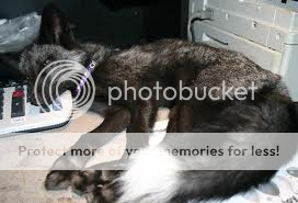 58728f3d.png