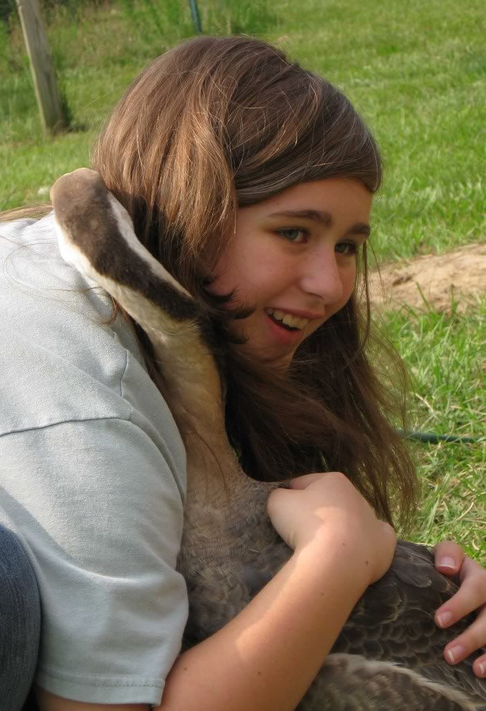 goosehugs_lowres.jpg