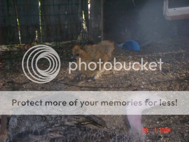 DSC01501.jpg
