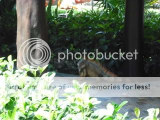 COZUMEL_09005.jpg