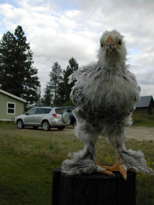 DSCN2575.jpg